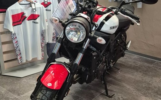 Gebrauchtmotorrad Yamaha XSR700 - Bild 2