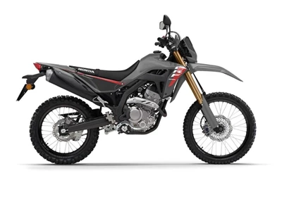 CRF300L