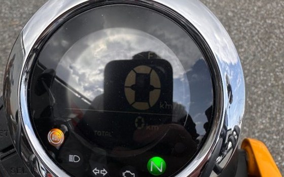 Neufahrzeug Honda Monkey 125 - Bild 6