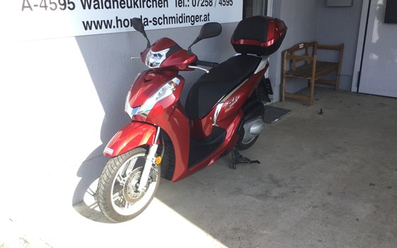Gebrauchtmotorrad Honda SH300i - Bild 3