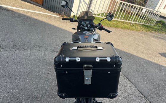 Gebrauchtmotorrad Malaguti Dune 125 - Bild 4