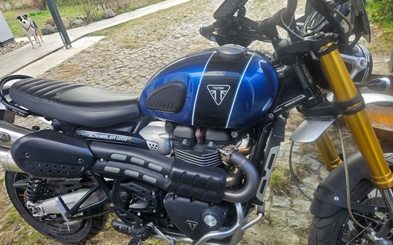 Gebrauchtmotorrad Triumph Scrambler 1200 XE - Bild 5