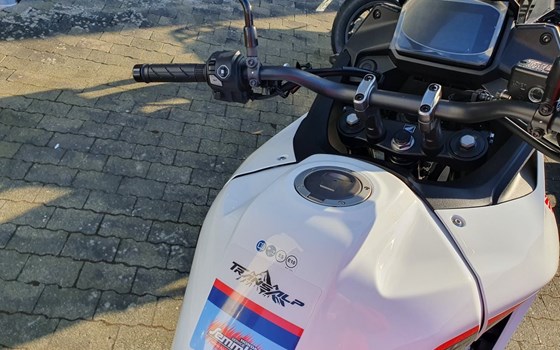 Neufahrzeug Honda XL750 Transalp - Bild 11