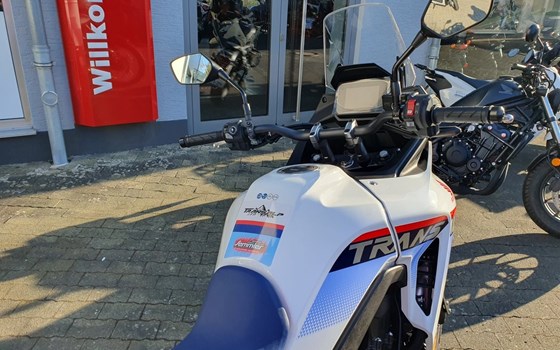 Neufahrzeug Honda XL750 Transalp - Bild 9