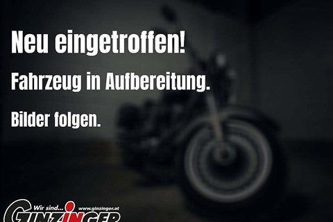Mittelklasse Naked Bikes für jedes Budget!