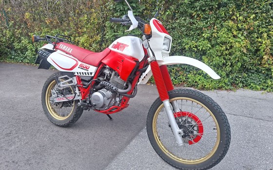 Gebrauchtmotorrad Yamaha XT 600 - Bild 4