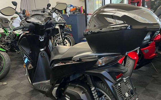 Gebrauchtmotorrad Honda SH150i - Bild 3