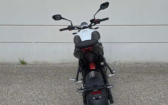 Neufahrzeug Triumph Trident 660 - Bild 3