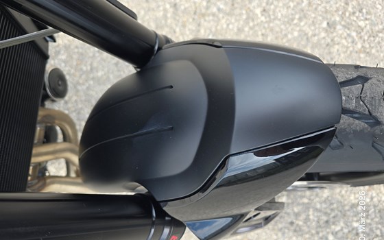 Neufahrzeug Triumph Trident 660 - Bild 13