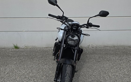 Neufahrzeug Triumph Trident 660 - Bild 4