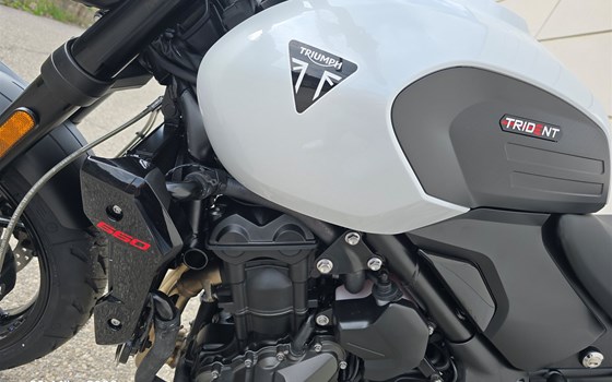 Neufahrzeug Triumph Trident 660 - Bild 6