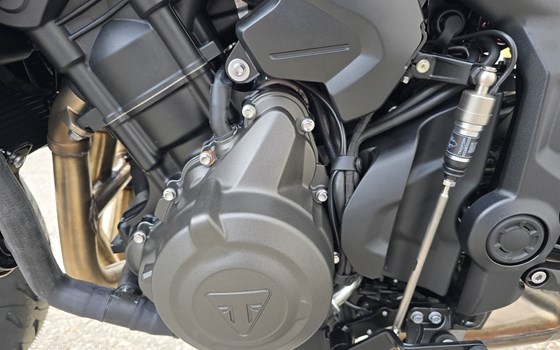 Neufahrzeug Triumph Trident 660 - Bild 7
