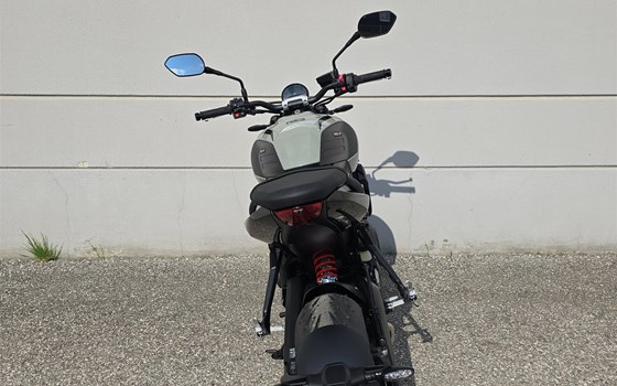 Neufahrzeug Triumph Trident 660 - Bild 3