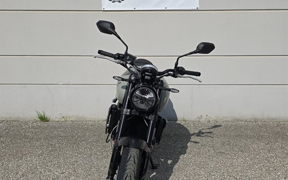 Neufahrzeug Triumph Trident 660 - Bild 4