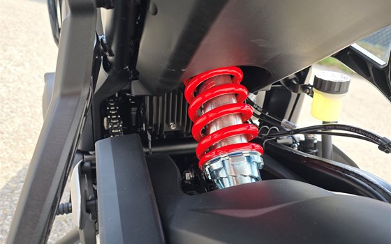 Neufahrzeug Triumph Trident 660 - Bild 9