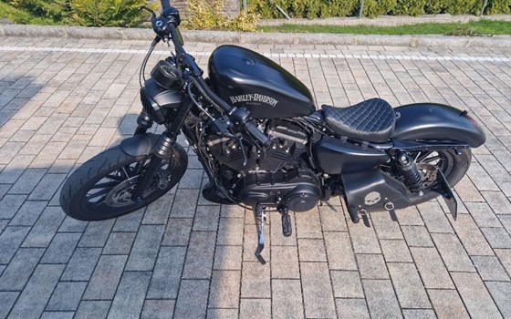 Gebrauchtmotorrad Harley-Davidson Sportster XL 883 N Iron - Bild 2