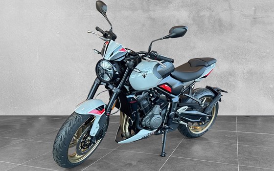 Neufahrzeug Triumph Trident 800 - Bild 1