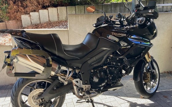 Gebrauchtmotorrad Triumph Tiger 1050 - Bild 2