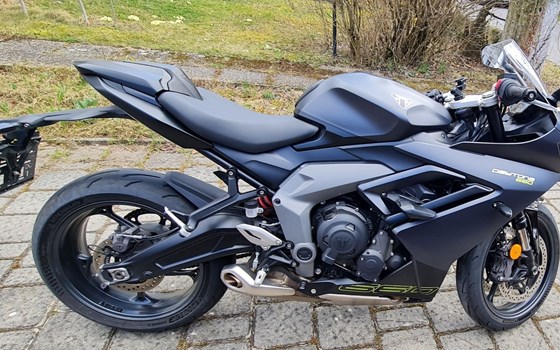 Gebrauchtmotorrad Triumph Daytona 660 - Bild 6