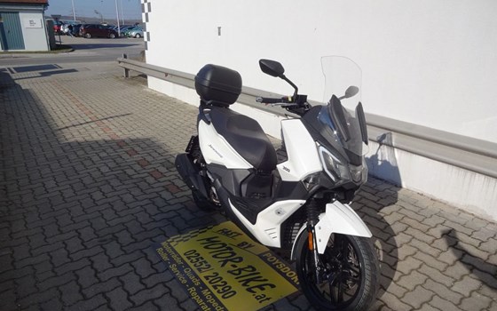 Gebrauchtmotorrad Sym Joyride 300 - Bild 3