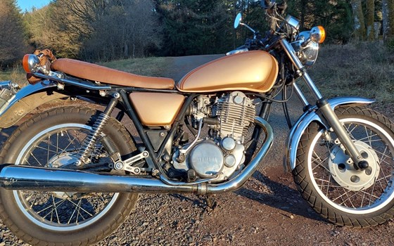 Gebrauchtmotorrad Yamaha SR 500 - Bild 1