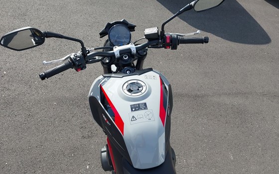 Neufahrzeug Triumph Trident 800 - Bild 14