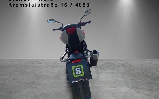 Neufahrzeug Triumph Trident 800 - Bild 4