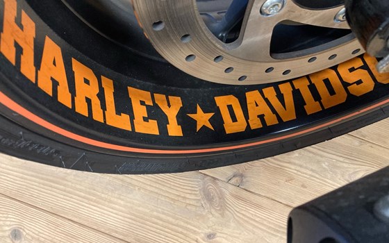 Gebrauchtmotorrad Harley-Davidson Custom Bike - Bild 6