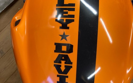 Gebrauchtmotorrad Harley-Davidson Custom Bike - Bild 3