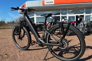 Angebot Raymon Tarok Pro