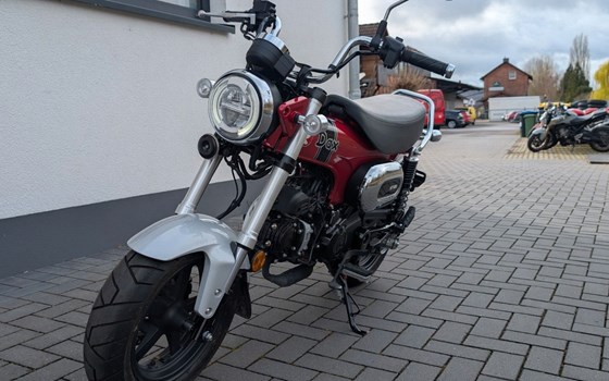 Gebrauchtmotorrad Honda Dax 125 - Bild 7