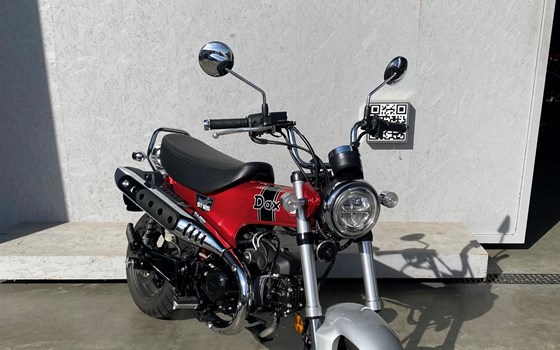 Gebrauchtmotorrad Honda Dax 125 - Bild 2