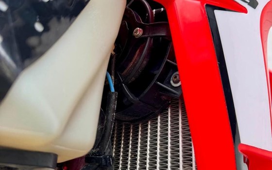 Gebrauchtmotorrad Beta RR 4T 390 - Bild 10