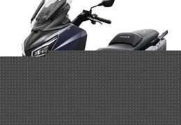 Neumotorrad Sym Joymax 300