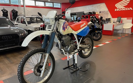 Gebrauchtmotorrad Honda XR 600 R - Bild 1
