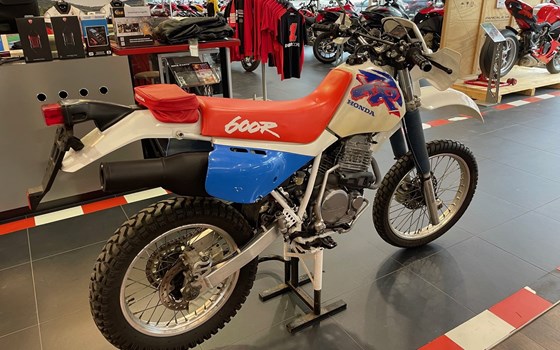 Gebrauchtmotorrad Honda XR 600 R - Bild 4