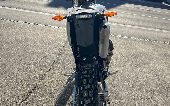 Neufahrzeug Beta RR 50 - Bild 4