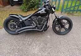 Gebrauchte Harley-Davidson Softail Night Train FXSTB
