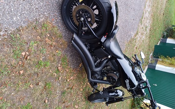 Gebrauchtmotorrad Harley-Davidson Softail Night Train FXSTB - Bild 3