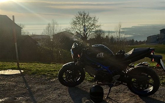 Gebrauchtmotorrad Suzuki SV650 - Bild 3