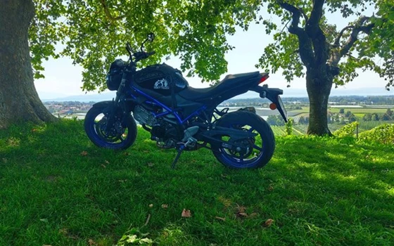 Gebrauchtmotorrad Suzuki SV650 - Bild 4