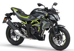 Neumotorrad Kawasaki Z125