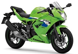 Neumotorrad Kawasaki Z125