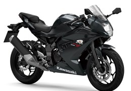 Neumotorrad Kawasaki Ninja 125