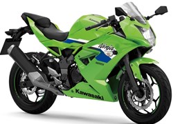 Neumotorrad Kawasaki Ninja 125