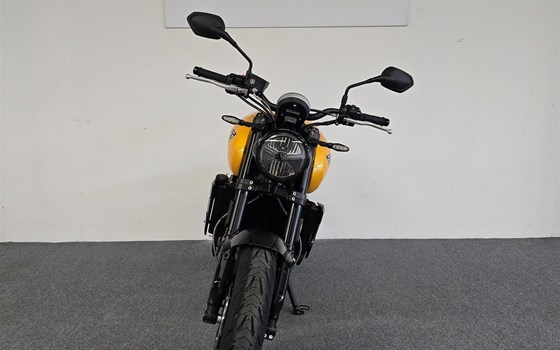 Neufahrzeug Triumph Trident 660 - Bild 3