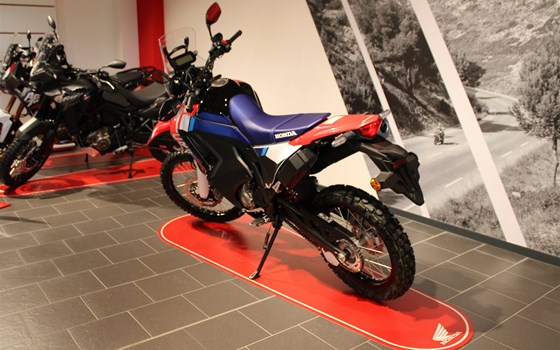 Neufahrzeug Honda CRF300 Rally - Bild 14