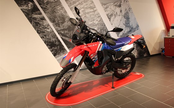 Neufahrzeug Honda CRF300 Rally - Bild 15