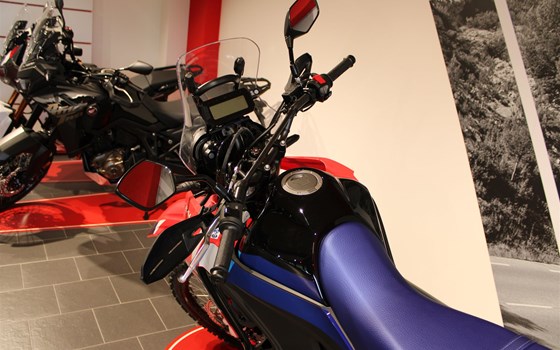 Neufahrzeug Honda CRF300 Rally - Bild 16