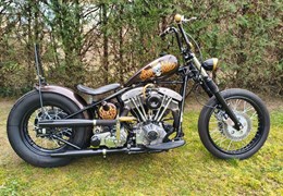 Gebrauchte Harley-Davidson Custom Bike
